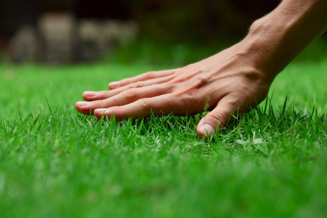 Строительство и ремонт автомобильных дорог частного дома цены в Москве In Garden